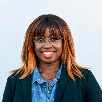 Composição do Executivo 