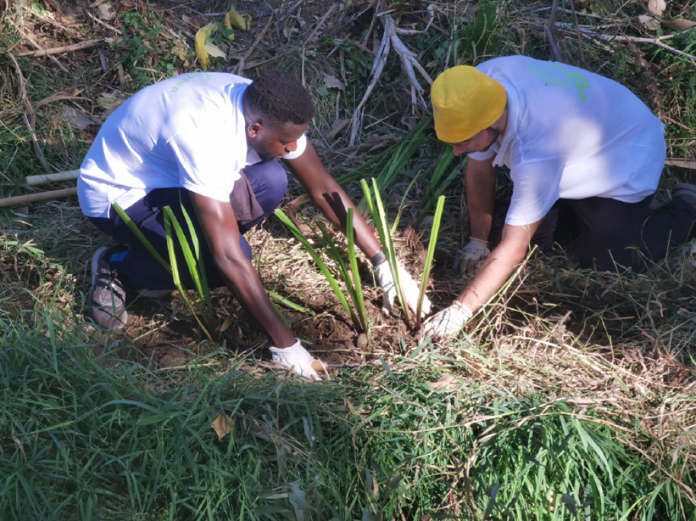 Ação de Voluntariado Ambiental | Parque Urbano Felício Loureiro