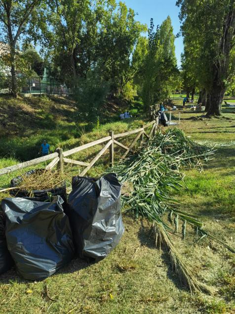 Ação de Voluntariado Ambiental | Parque Urbano Felício Loureiro