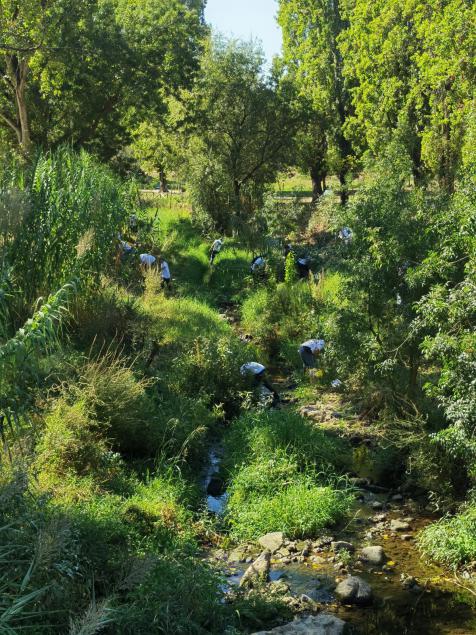 Ação de Voluntariado Ambiental | Parque Urbano Felício Loureiro