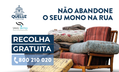 Recolha de monos