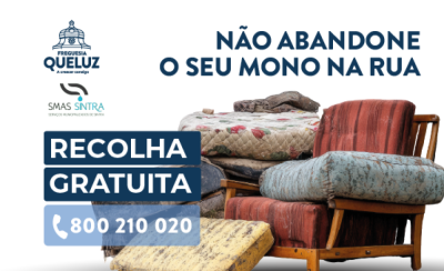 Recolha de monos