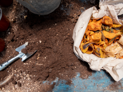 Compostagem Urbana: dê uma nova vida aos resíduos orgânicos.